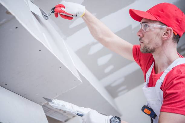 Professional Dry wall and painting in Sneads, FL